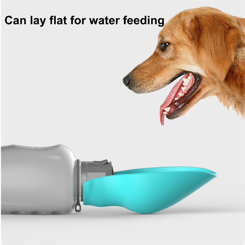 Big Bottle, Happy Pup – Leakproof Pet Water Solution (800ml)
