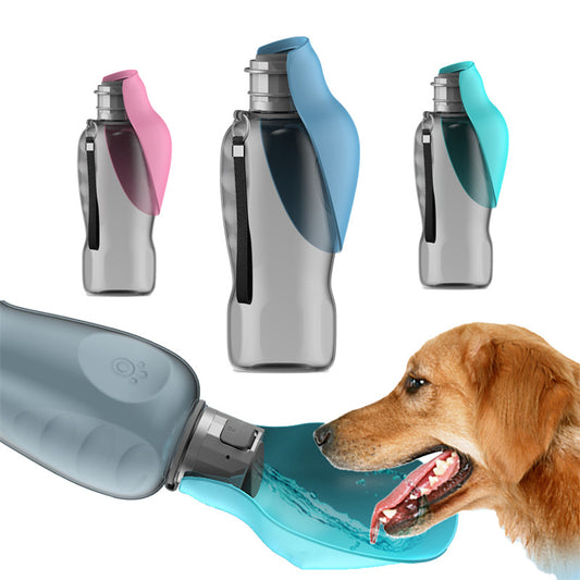 Big Bottle, Happy Pup – Leakproof Pet Water Solution (800ml)